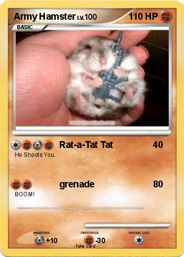 Pokemon Army Hamster