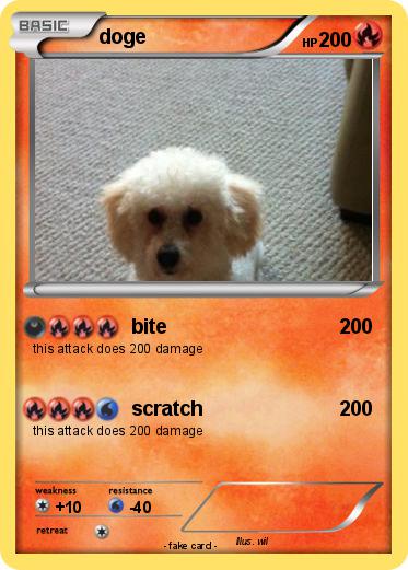 Pokemon doge