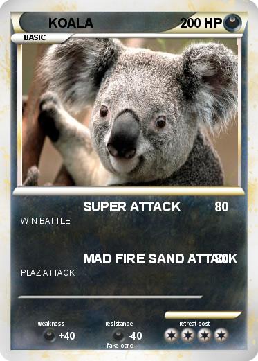 Pokemon KOALA