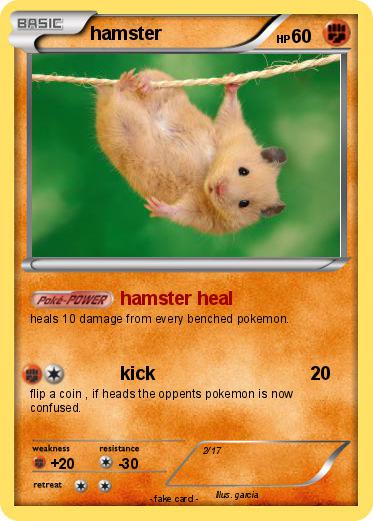 Pokemon hamster