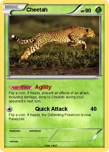 Pokemon Cheetah