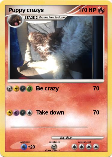 Pokemon Puppy crazys