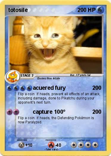 Pokemon totosile