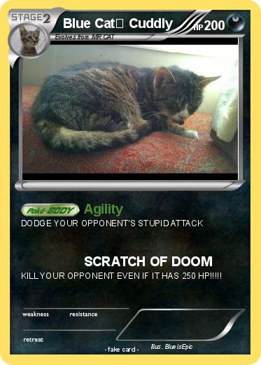 Pokemon Blue Cat Cuddly