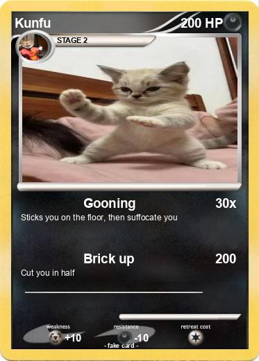 Pokemon Kunfu