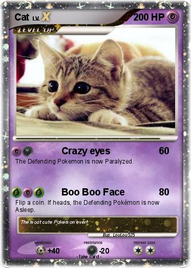 Pokemon Cat