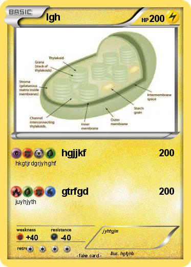 Pokemon lgh