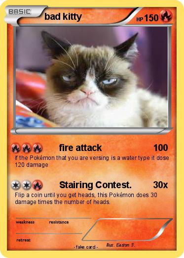 Pokemon bad kitty