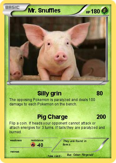 Pokemon Mr. Snuffles