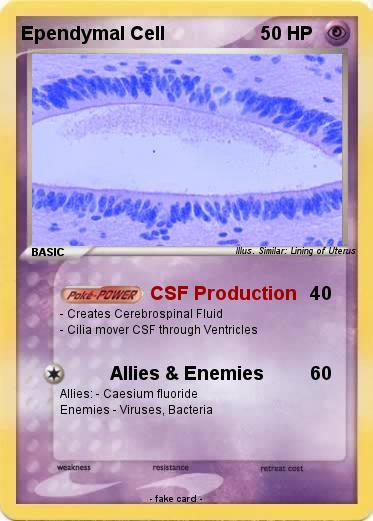 Pokemon Ependymal Cell