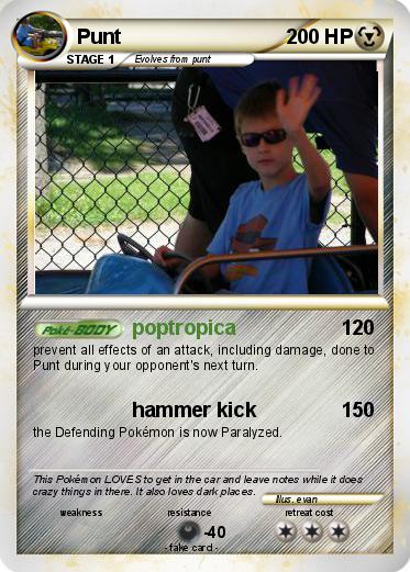 Pokemon Punt