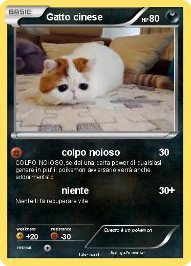 Pokemon Gatto cinese