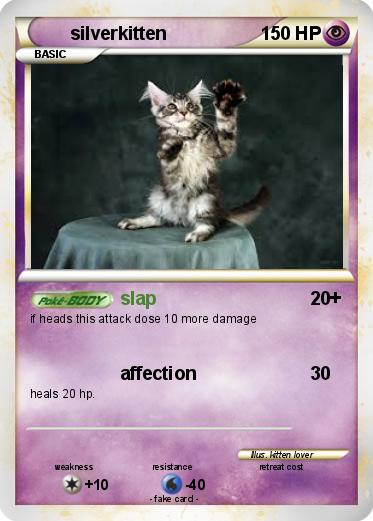 Pokemon silverkitten