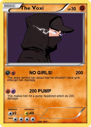 Pokemon The Voxi