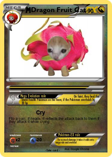Pokemon Dragon Fruit Cat
