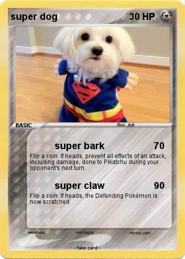 Pokemon super dog