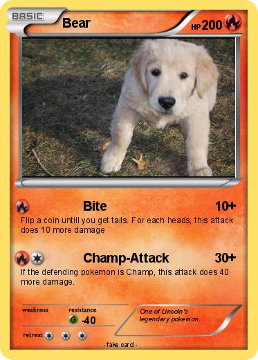 Pokemon Bear