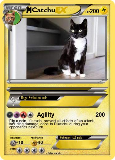 Pokemon Catchu