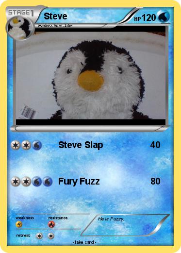 Pokemon Steve