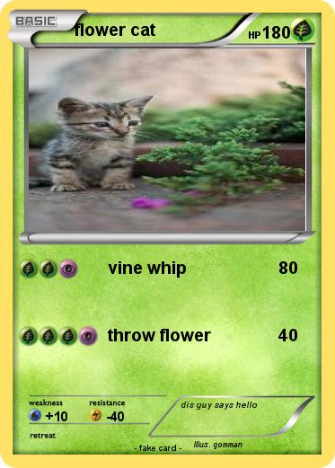 Pokemon flower cat