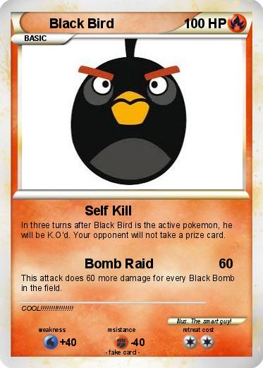 Pokemon Black Bird