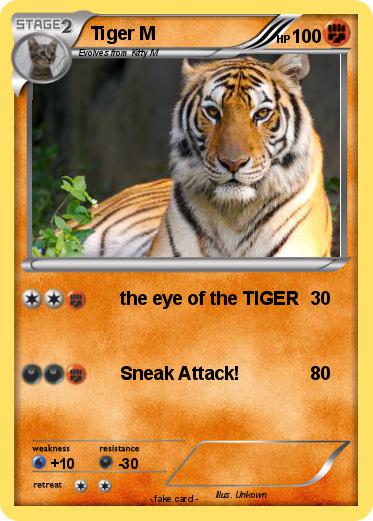 Pokemon Tiger M