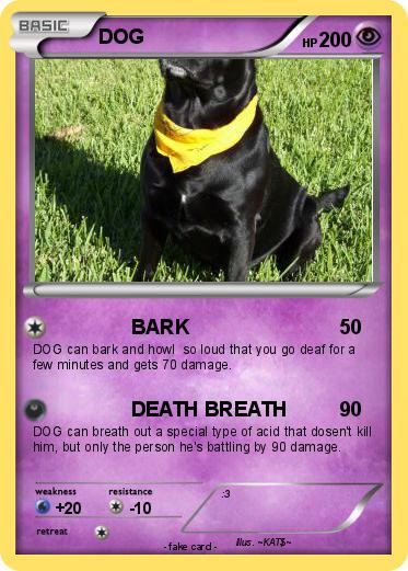 Pokemon DOG