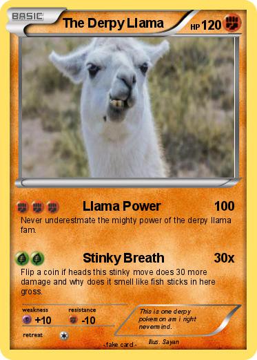 Pokemon The Derpy Llama Pokemon The Derpy Llama