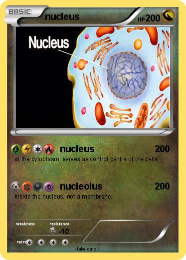 Pokemon nucleus