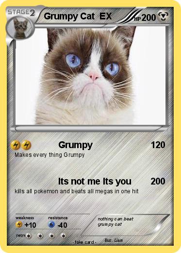 Pokemon Grumpy Cat  EX