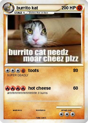 Pokemon burrito kat