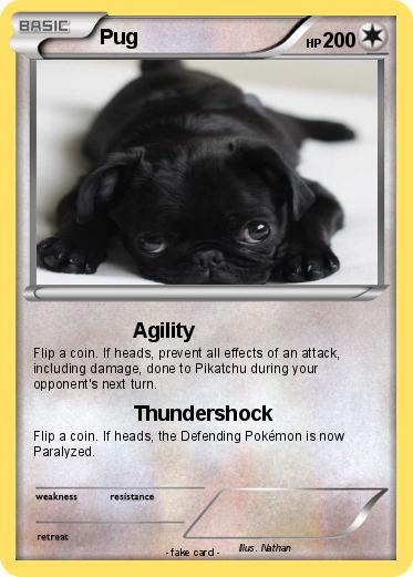 Pokemon Pug