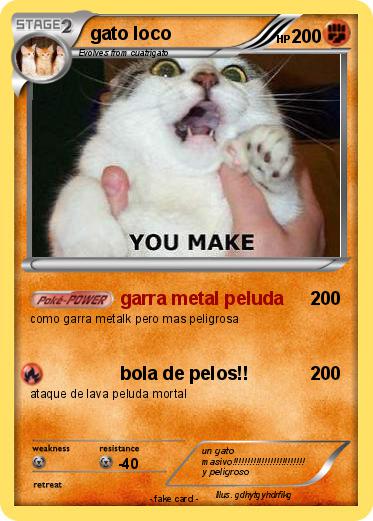 Pokemon gato loco