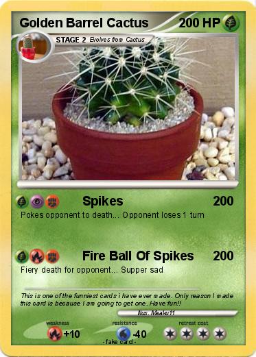 Pokemon Golden Barrel Cactus