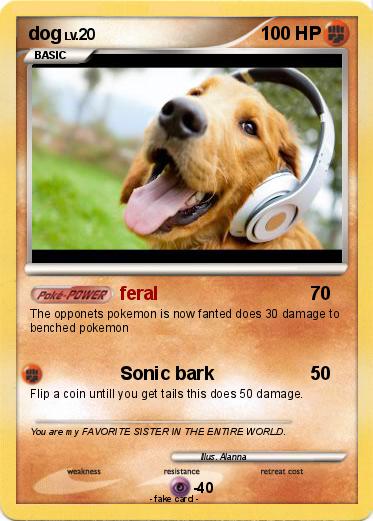 Pokemon dog