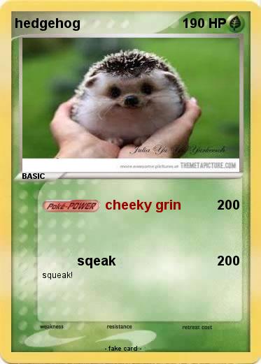 Pokemon hedgehog