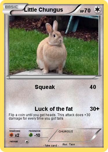 Pokemon Little Chungus