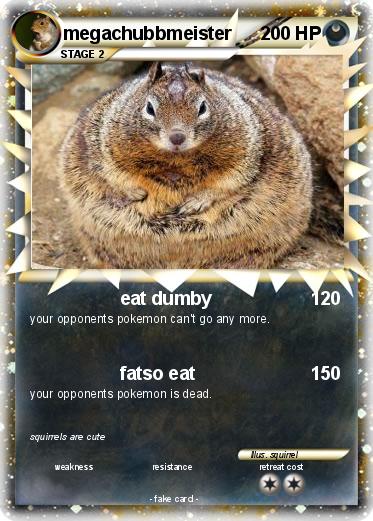 Pokemon megachubbmeister