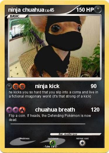 Pokemon ninja chuahua