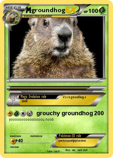 Pokemon groundhog