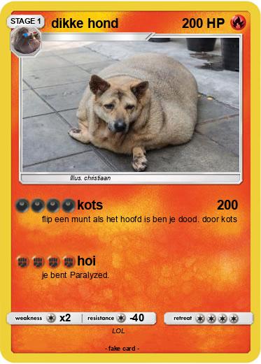 Pokemon dikke hond