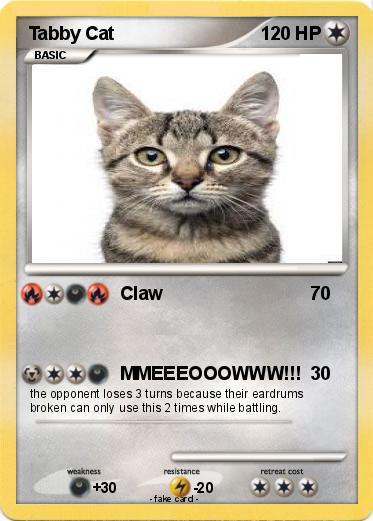 Pokemon Tabby Cat
