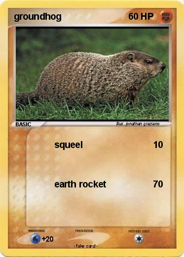 Pokemon groundhog