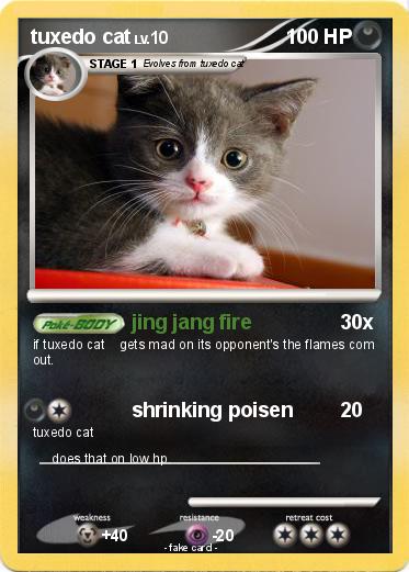 Pokemon tuxedo cat