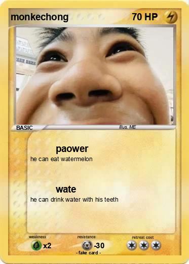 Pokemon monkechong