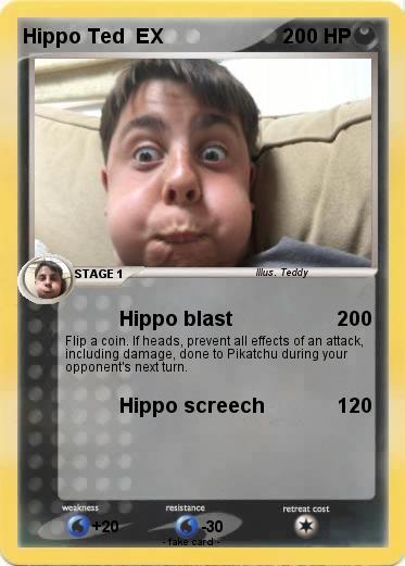Pokemon Hippo Ted  EX
