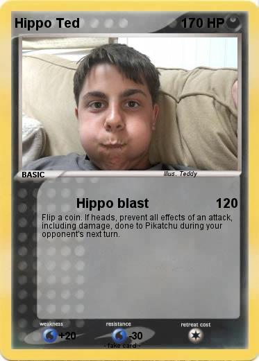 Pokemon Hippo Ted