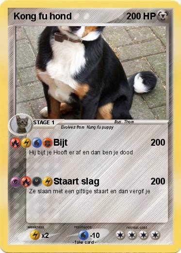 Pokemon Kong fu hond