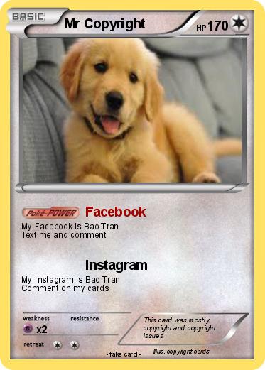 Pokemon Mr Copyright