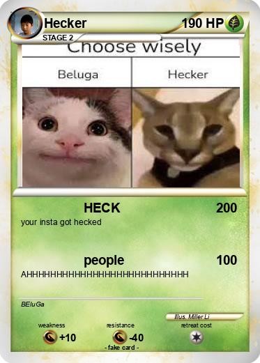 Pokemon Hecker